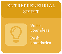 Entrepreneurial Spirit