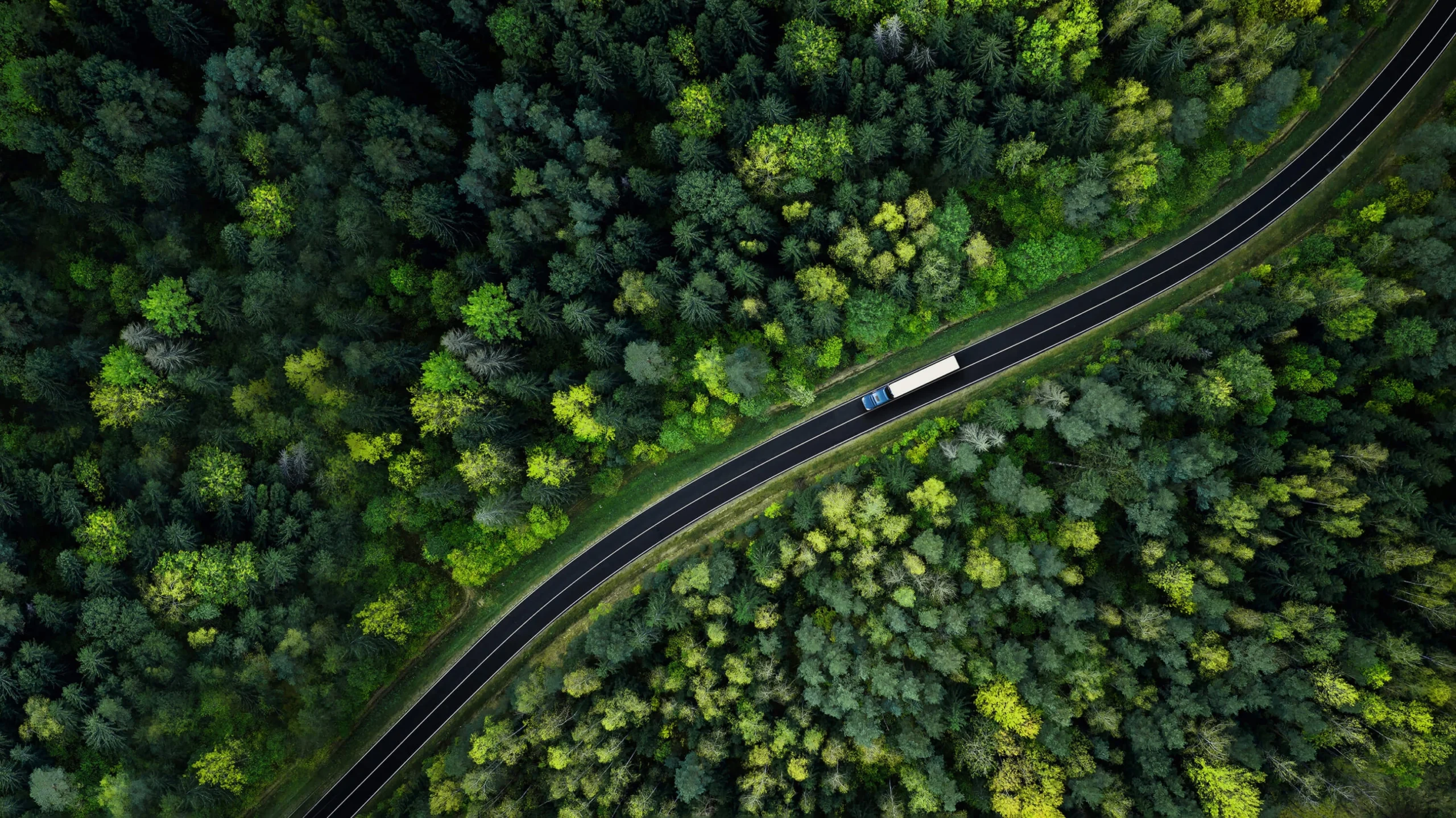 Aerial view of winding road through forest