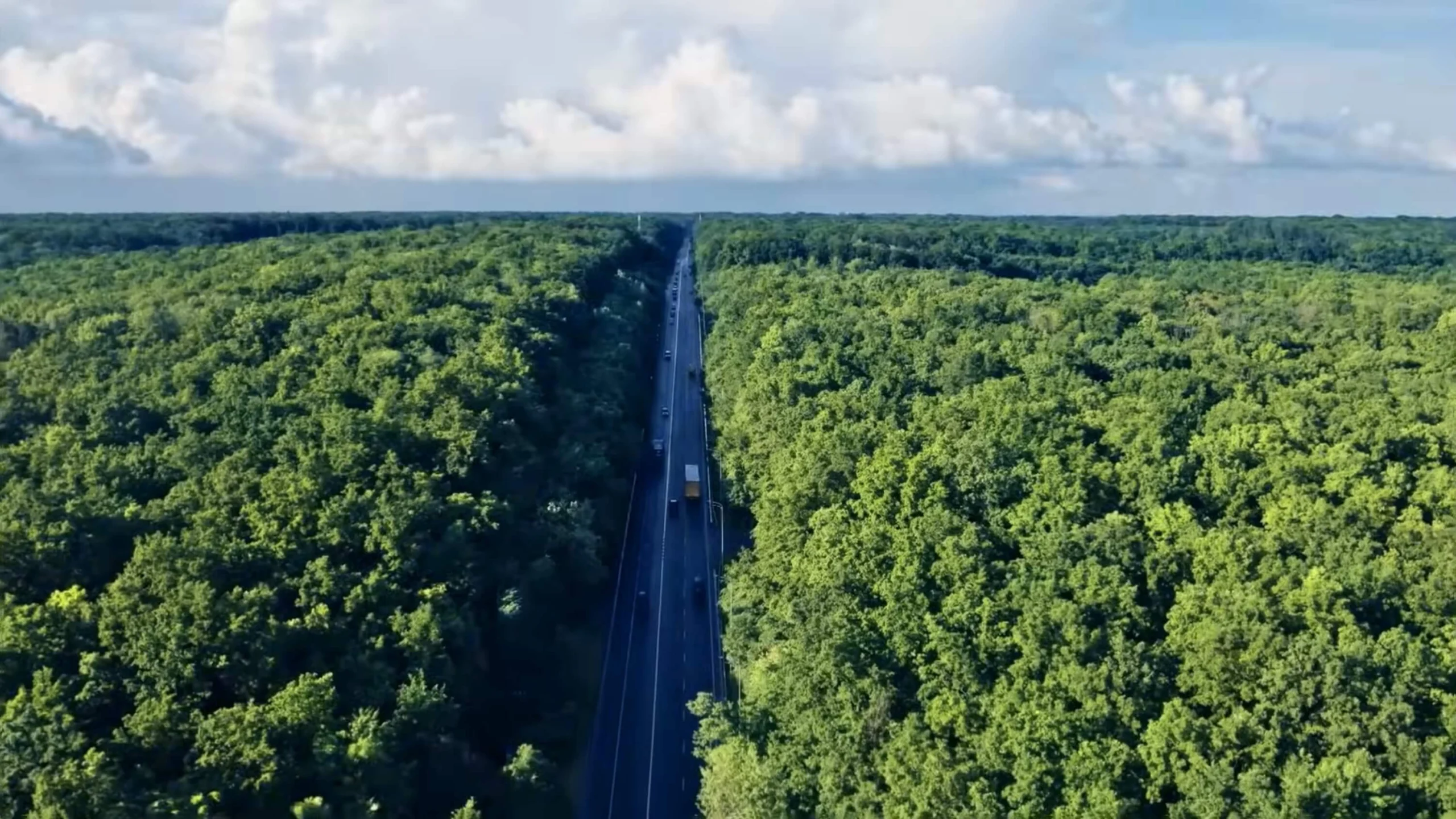 Aerial highway cutting through forest, showing road and sustainability